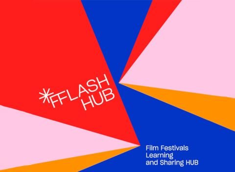 flash-hub